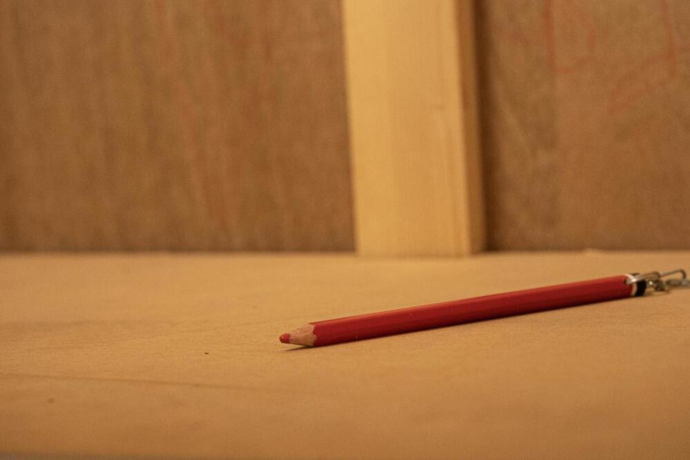 Trois rapports universitaires pour mieux comprendre les élections du 13 octobre 2024