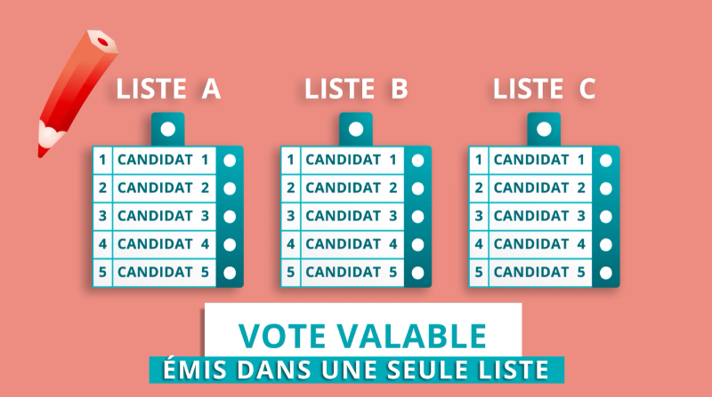 Comment voter valablement le 13 octobre ? 